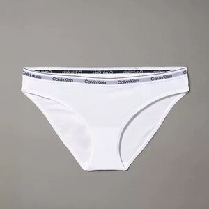NEW Calvin Klein Modern Logo Bikini Panties Small